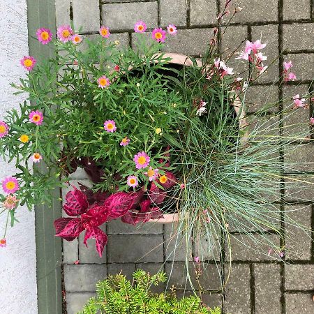 Juros Brizas Lägenhet Palanga Exteriör bild