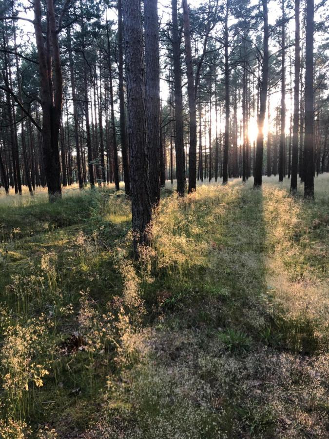 Juros Brizas Lägenhet Palanga Exteriör bild