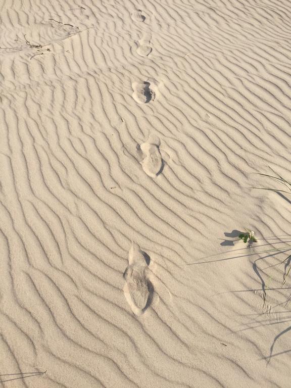 Juros Brizas Lägenhet Palanga Exteriör bild